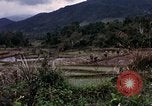 Image of 196th Light Infantry Brigade on mission Vietnam, 1968, second 28 stock footage video 65675021198