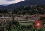 Image of 196th Light Infantry Brigade on mission Vietnam, 1968, second 29 stock footage video 65675021198