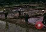 Image of 196th Light Infantry Brigade on mission Vietnam, 1968, second 34 stock footage video 65675021198
