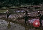 Image of 196th Light Infantry Brigade on mission Vietnam, 1968, second 35 stock footage video 65675021198