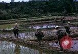 Image of 196th Light Infantry Brigade on mission Vietnam, 1968, second 37 stock footage video 65675021198