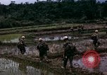 Image of 196th Light Infantry Brigade on mission Vietnam, 1968, second 38 stock footage video 65675021198