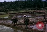 Image of 196th Light Infantry Brigade on mission Vietnam, 1968, second 39 stock footage video 65675021198