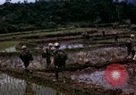 Image of 196th Light Infantry Brigade on mission Vietnam, 1968, second 40 stock footage video 65675021198