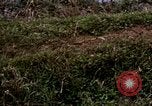 Image of 196th Light Infantry Brigade on mission Vietnam, 1968, second 41 stock footage video 65675021198