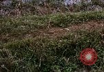 Image of 196th Light Infantry Brigade on mission Vietnam, 1968, second 42 stock footage video 65675021198