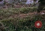 Image of 196th Light Infantry Brigade on mission Vietnam, 1968, second 44 stock footage video 65675021198