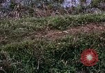 Image of 196th Light Infantry Brigade on mission Vietnam, 1968, second 45 stock footage video 65675021198
