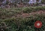 Image of 196th Light Infantry Brigade on mission Vietnam, 1968, second 46 stock footage video 65675021198