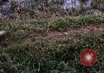 Image of 196th Light Infantry Brigade on mission Vietnam, 1968, second 47 stock footage video 65675021198
