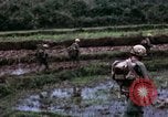 Image of 196th Light Infantry Brigade on mission Vietnam, 1968, second 55 stock footage video 65675021198