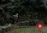 Image of 196th Light Infantry Brigade on mission Vietnam, 1968, second 59 stock footage video 65675021198
