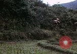 Image of 196th Light Infantry Brigade on mission Vietnam, 1968, second 61 stock footage video 65675021198