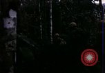 Image of 196th Light infantry burns NVA huts Vietnam, 1968, second 10 stock footage video 65675021199