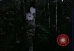 Image of 196th Light infantry burns NVA huts Vietnam, 1968, second 11 stock footage video 65675021199