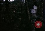 Image of 196th Light infantry burns NVA huts Vietnam, 1968, second 12 stock footage video 65675021199