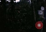 Image of 196th Light infantry burns NVA huts Vietnam, 1968, second 13 stock footage video 65675021199