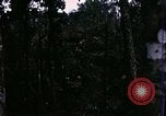 Image of 196th Light infantry burns NVA huts Vietnam, 1968, second 16 stock footage video 65675021199