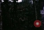 Image of 196th Light infantry burns NVA huts Vietnam, 1968, second 19 stock footage video 65675021199