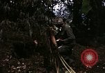 Image of 196th Light infantry burns NVA huts Vietnam, 1968, second 23 stock footage video 65675021199