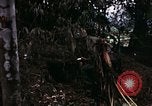Image of 196th Light infantry burns NVA huts Vietnam, 1968, second 24 stock footage video 65675021199