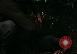 Image of 196th Light infantry burns NVA huts Vietnam, 1968, second 35 stock footage video 65675021199
