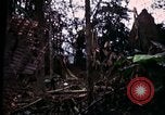 Image of 196th Light infantry burns NVA huts Vietnam, 1968, second 38 stock footage video 65675021199
