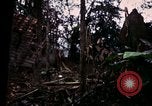 Image of 196th Light infantry burns NVA huts Vietnam, 1968, second 44 stock footage video 65675021199