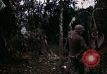 Image of 196th Light infantry burns NVA huts Vietnam, 1968, second 46 stock footage video 65675021199