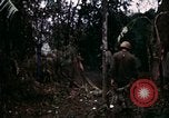Image of 196th Light infantry burns NVA huts Vietnam, 1968, second 48 stock footage video 65675021199