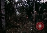 Image of 196th Light infantry burns NVA huts Vietnam, 1968, second 50 stock footage video 65675021199