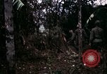 Image of 196th Light infantry burns NVA huts Vietnam, 1968, second 51 stock footage video 65675021199