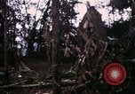 Image of 196th Light infantry burns NVA huts Vietnam, 1968, second 55 stock footage video 65675021199