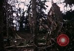 Image of 196th Light infantry burns NVA huts Vietnam, 1968, second 56 stock footage video 65675021199