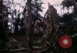 Image of 196th Light infantry burns NVA huts Vietnam, 1968, second 58 stock footage video 65675021199