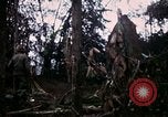 Image of 196th Light infantry burns NVA huts Vietnam, 1968, second 61 stock footage video 65675021199