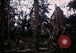 Image of 196th Light infantry burns NVA huts Vietnam, 1968, second 62 stock footage video 65675021199