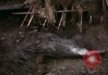 Image of U.S. Army 196th Lt Inf Brigade knock down damaged building wall Vietnam, 1968, second 21 stock footage video 65675021200