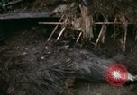 Image of U.S. Army 196th Lt Inf Brigade knock down damaged building wall Vietnam, 1968, second 22 stock footage video 65675021200