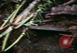 Image of U.S. Army 196th Lt Inf Brigade knock down damaged building wall Vietnam, 1968, second 23 stock footage video 65675021200