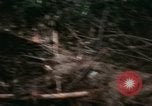 Image of U.S. Army 196th Lt Inf Brigade knock down damaged building wall Vietnam, 1968, second 24 stock footage video 65675021200