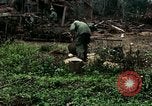 Image les soldats de l'armée américaine détruire pagode décortiquées bâtiment Vietnam, 1968, de la seconde 33 séquences d'archives historiques vidéo 65675021204