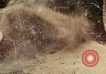 Image les soldats de l'armée américaine détruire pagode décortiquées bâtiment Vietnam, 1968, de la seconde 49 séquences d'archives historiques vidéo 65675021204