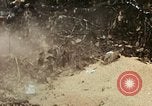 Image les soldats de l'armée américaine détruire pagode décortiquées bâtiment Vietnam, 1968, de la seconde 50 séquences d'archives historiques vidéo 65675021204