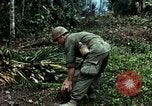 Image les soldats de l'armée américaine détruire pagode décortiquées bâtiment Vietnam, 1968, de la seconde 58 séquences d'archives historiques vidéo 65675021204