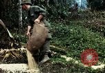 Image les soldats de l'armée américaine détruire pagode décortiquées bâtiment Vietnam, 1968, de la seconde 61 séquences d'archives historiques vidéo 65675021204