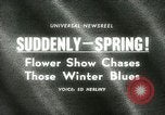 Standbild 48 Internationalen Flower Show New York United States USA, 1965, aus Sekunde 3 historischem Filmmaterial Videoclip 65675021207
