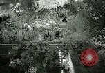Standbild 48 Internationalen Flower Show New York United States USA, 1965, aus Sekunde 15 historischem Filmmaterial Videoclip 65675021207