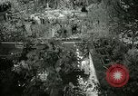Standbild 48 Internationalen Flower Show New York United States USA, 1965, aus Sekunde 16 historischem Filmmaterial Videoclip 65675021207