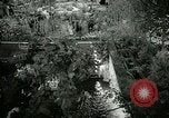 Standbild 48 Internationalen Flower Show New York United States USA, 1965, aus Sekunde 17 historischem Filmmaterial Videoclip 65675021207